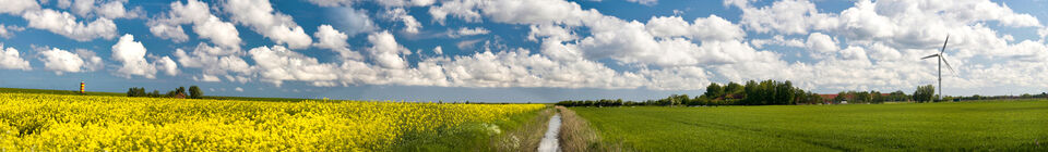 Er sucht sie friesland